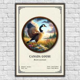 Póster de la serie de zoología del ganso de Canadá