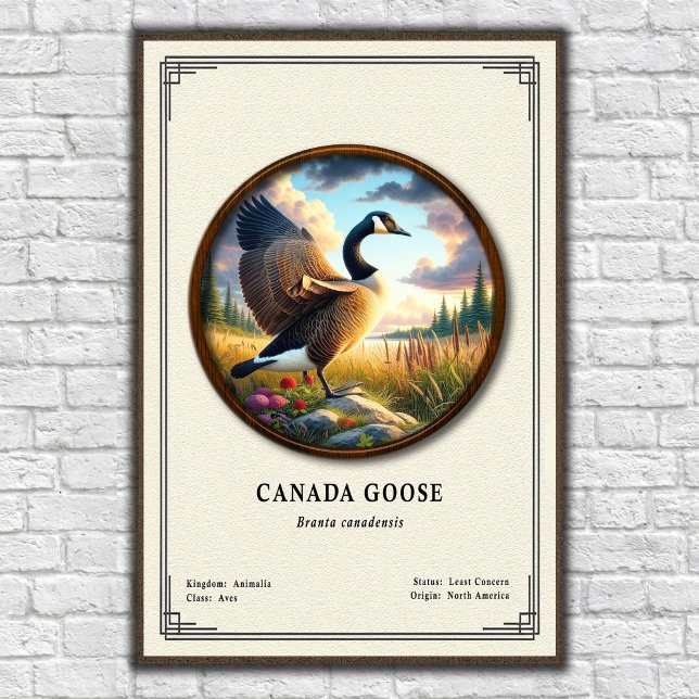 Póster de la serie de zoología del ganso de Canadá (Subido por el creador)
