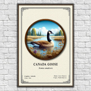 Póster de la serie de zoología del ganso de Canadá