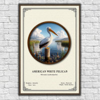 Póster de la serie de zoología del pelícano blanco
