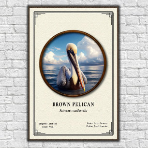 Póster de la serie de zoología del pelícano pardo
