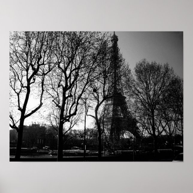 Póster de la Torre Eiffel a través de los árboles (Frente)