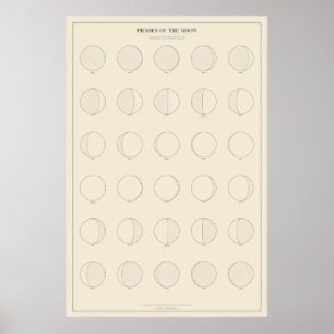 Póster de las fases de la Luna