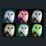 Poster de Lechuza de Arte Pop<br><div class="desc">Impresión poster de gran aspecto realizada en un estilo de arte pop, con un búho de granero de 6 colores diferentes. Elegante poster y excelente para cualquier amante de las aves.</div>