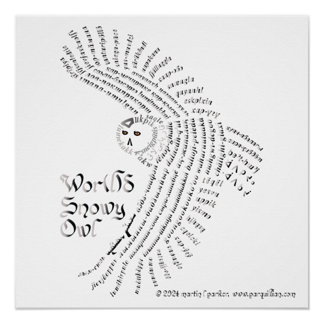 Poster de Lechuza Nieve del Mundo (Anverso)