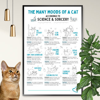 Póster de lenguaje corporal de gato divertido – Gr