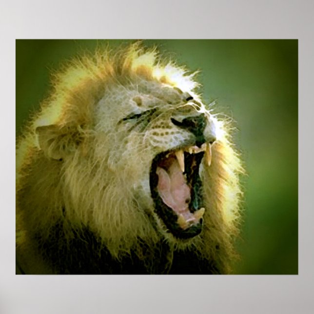 Póster de león rugiente (Frente)
