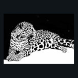 Poster de Leopardo Blanco Negro Arte Pop Animal Sa<br><div class="desc">Imagen de Leopard Posters - Coraje Motivacional / Confianza Pop Art Leopard Head / Portrait Digital Animal Artwork - Leopard Eyes Pop Art</div>
