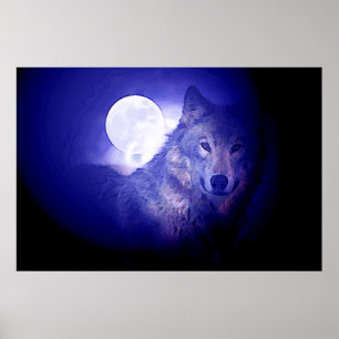 Póster de Lobo Gris y Luna - Lobos de Noche Azul