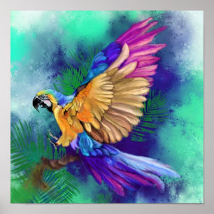 Póster de Loro de Color Precioso