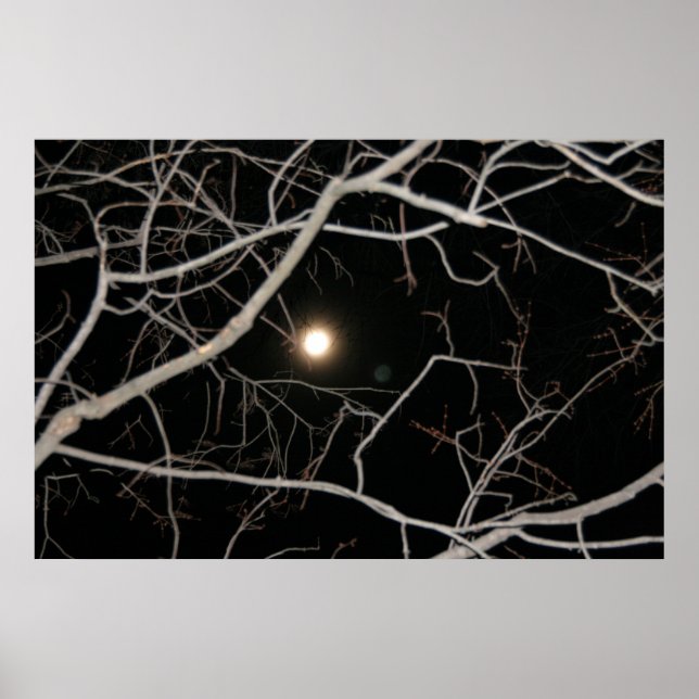 Póster de Luna Llena en la Web (Frente)