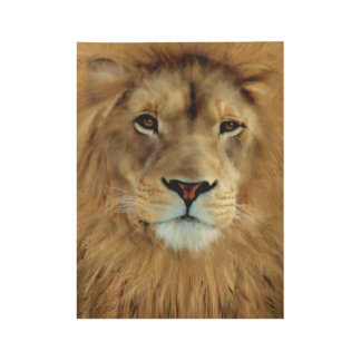Póster De Madera Aslan