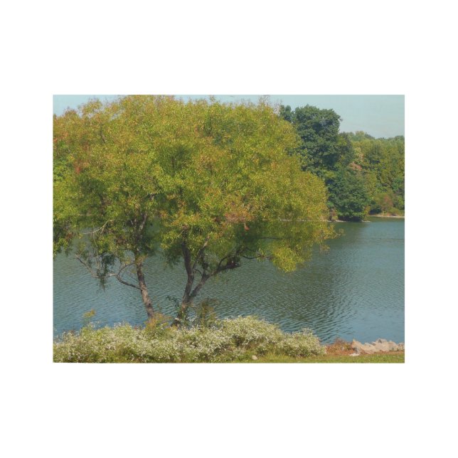 Póster De Madera Lago Centennial en Ellicott City Maryland (Anverso)