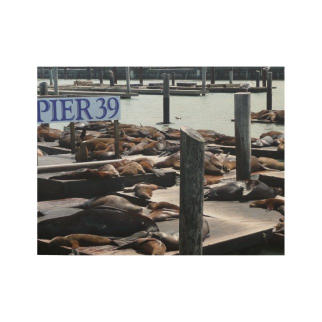Póster De Madera Leones marinos Pier 39 (Anverso)