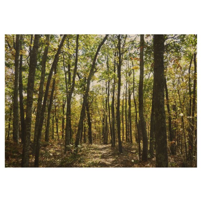 Póster De Madera Sendero Apalache en octubre en Shenandoah (Anverso)