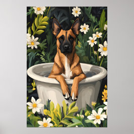 Póster de Malinois Belga en Bañera, Perro Divertid