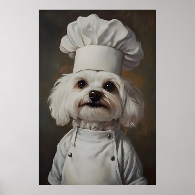 Póster de maltés con gorro de chef, Póster de masc (Frente)