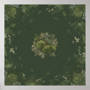 Póster de mandala botánico de musgo y liquen del b