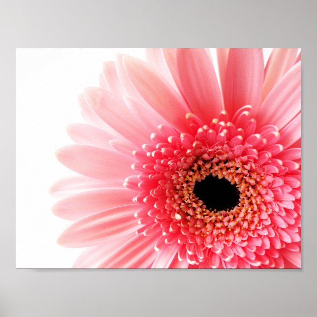 Póster de Margarita Gerbera (Frente)