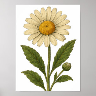 Póster de margarita vintage