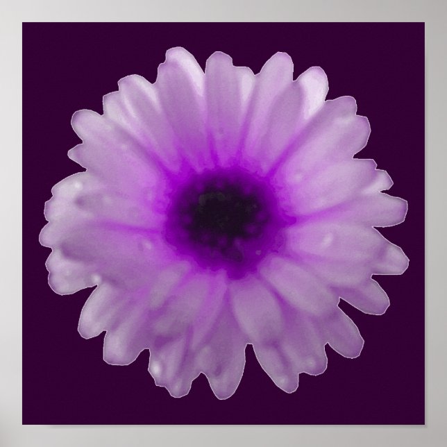 Póster de Marigold Blanco y Púrpura (Frente)