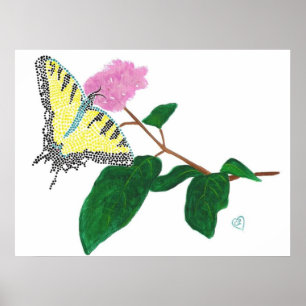 Póster de Mariposa Cola de Golondrina Amarilla en 