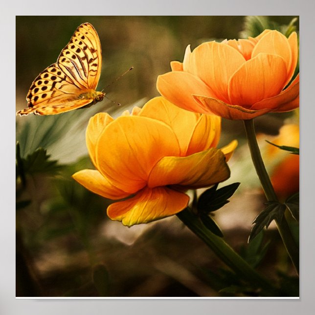 Póster de mariposa en flores naranjas (Frente)