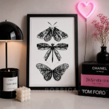Póster de Mariposa, Libélula y Polilla en Blanco y