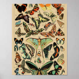Póster de mariposas vintage Papillons