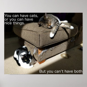 Póster de Meme sobre la Verdad de los Gatos