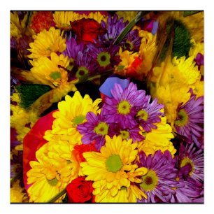 Poster de mezcla de flores de margarita multicolor