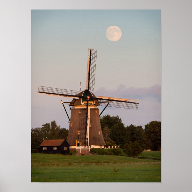 Póster de molino de viento bajo luna llena (Frente)