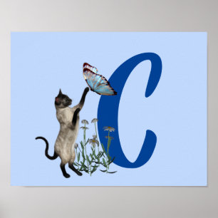Póster de monograma inicial C de mariposa gato sia