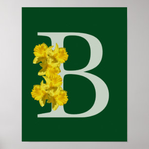 Póster de monograma inicial de narciso B