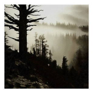 Póster De Montaña A Moody Mist De La Mañana Treescape