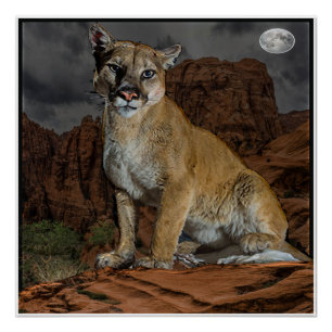 poster de montaña de cougar