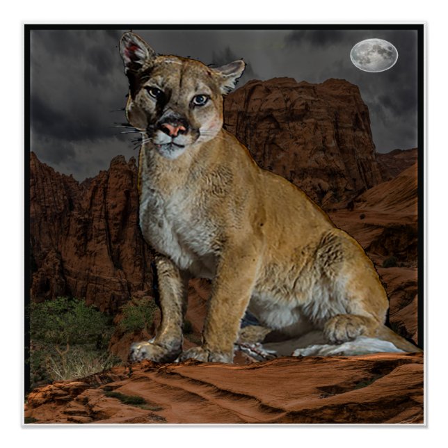 poster de montaña de cougar (Anverso)
