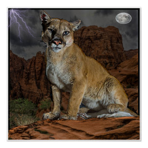 poster de montaña de cougar