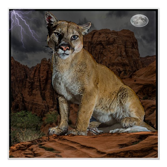 poster de montaña de cougar (Anverso)