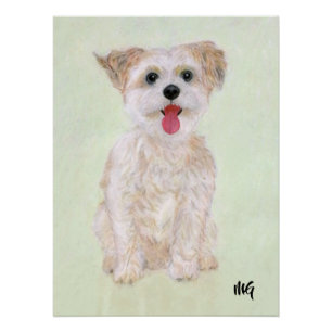 Póster de Morkie con texto