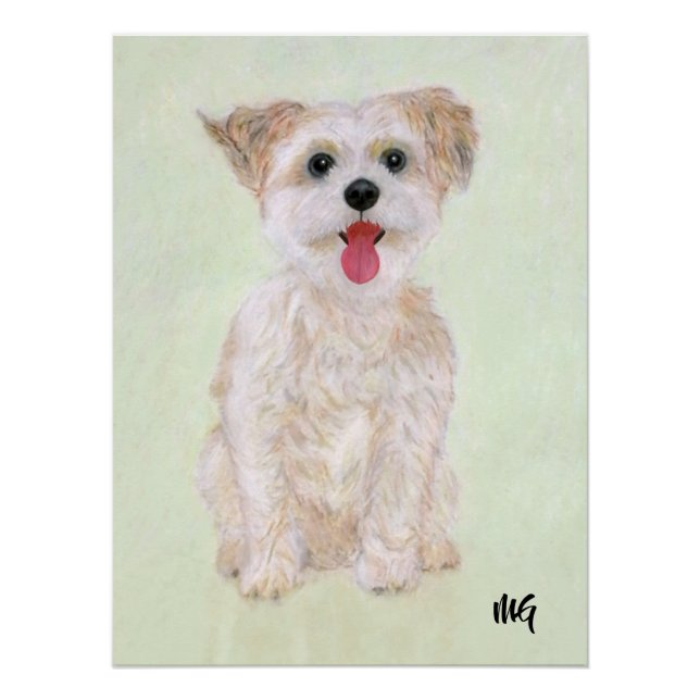 Póster de Morkie con texto (Anverso)