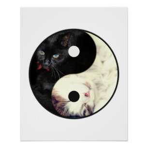 Póster de mosaico de gatos Yin Yang