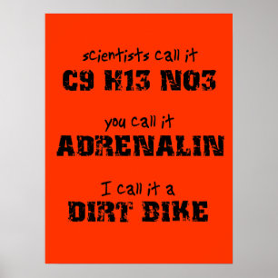 Póster de Motocross Adrenalina en Moto de Tierra