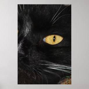 Póster de negro más negro