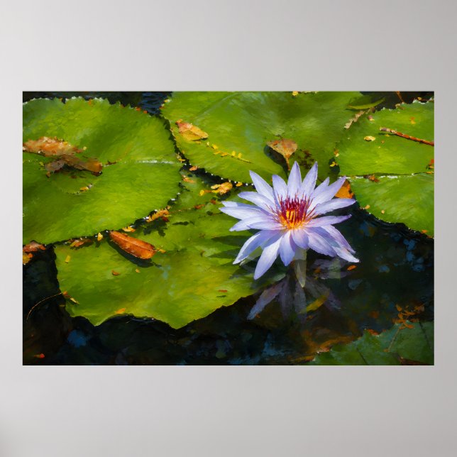 Póster de Nenúfar al Estilo Pintura (Frente)