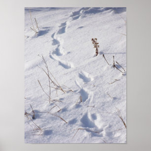 Poster de Nieve con impresiones de venado