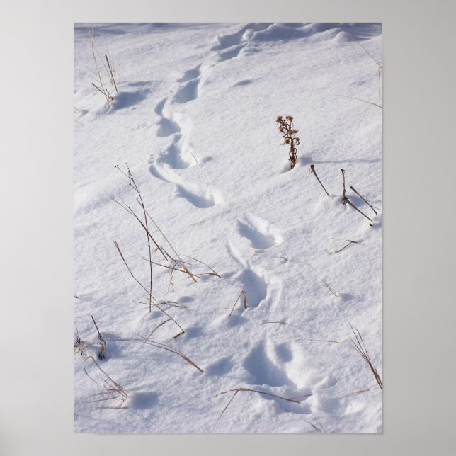 Poster de Nieve con impresiones de venado (Frente)