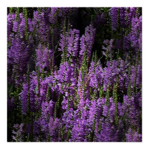 Póster De noche a mañana...