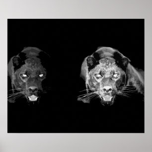 Póster de ojos de gato jaguar negro salvaje