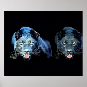 Póster de ojos de gato jaguar negro salvaje tonos